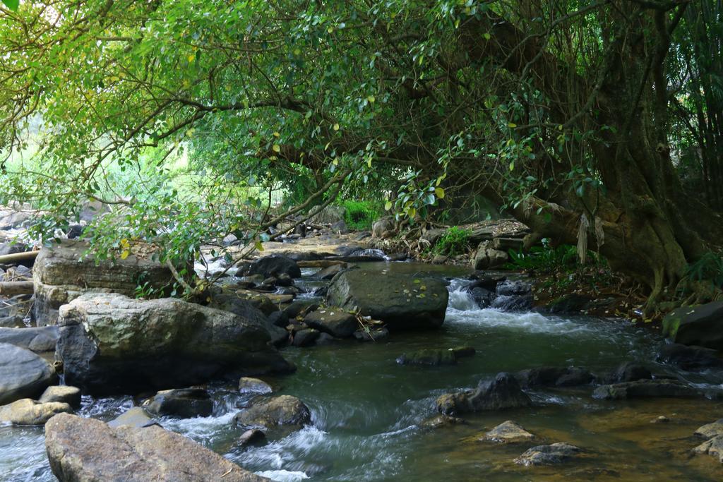 Nivahana Homestay Kandy Buitenkant foto