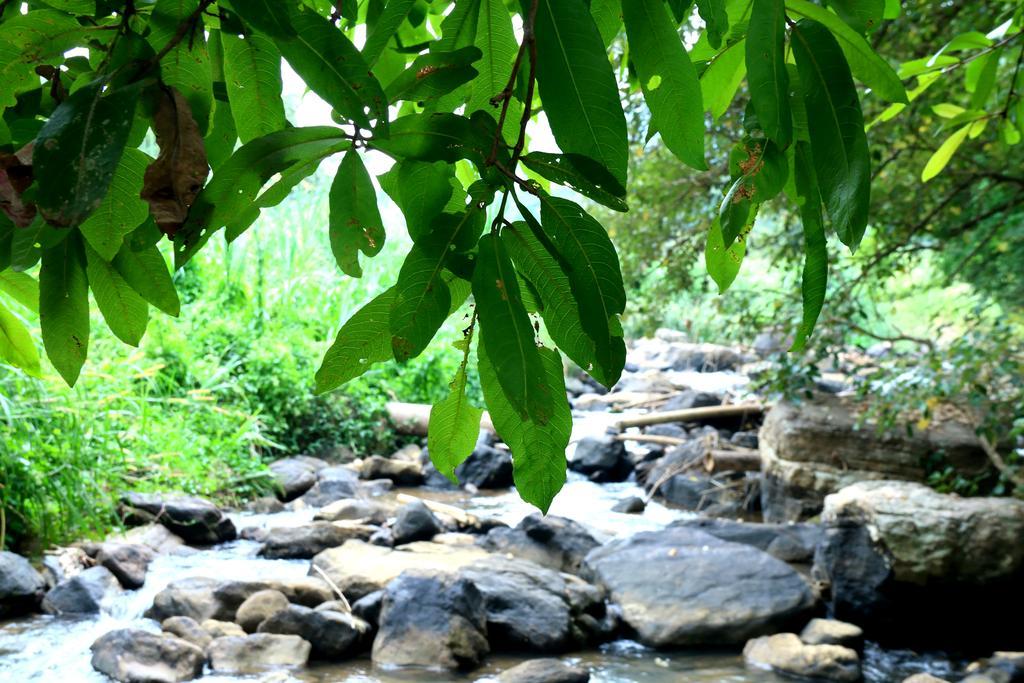Nivahana Homestay Kandy Buitenkant foto